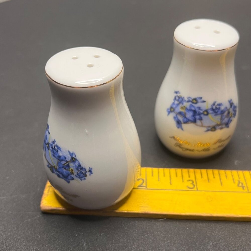 Vintage Alaska State Flower Forget-Me-Not Porcelain Salt & Pepper Shakers - Picture 9 of 10
